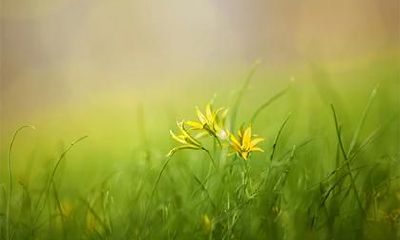 五月出生宝宝五行属什么?如何取名?