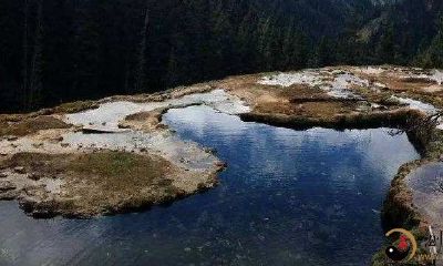 梦到流动性的黄水