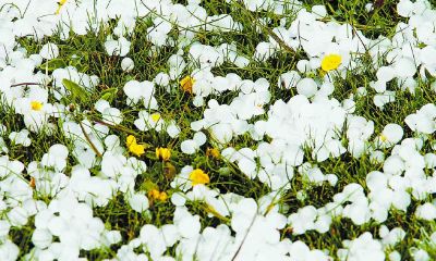 梦到天突然变化下冰块儿