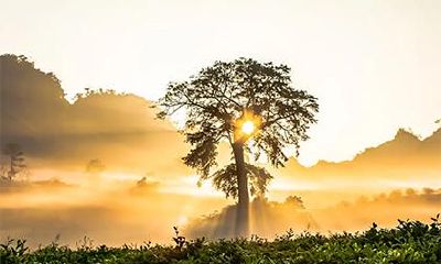 2022年5月5日出生女孩五行缺金起名大全