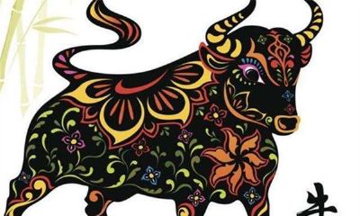 生肖牛出生在哪个月好?