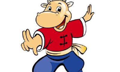 生肖牛的性格缺点有哪些