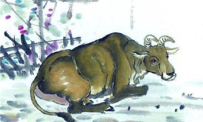 属牛的人和什么属相最不配?