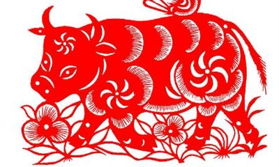 属牛的男人的性格