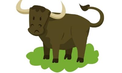 属牛配什么属相最为幸福