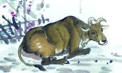 属牛人的命运如何