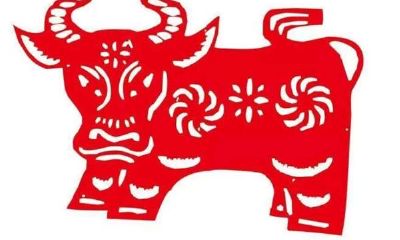 属牛人出生日运势解析