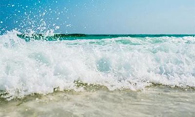 2022年农历正月十六日出生五行缺火土女孩温柔文雅起名