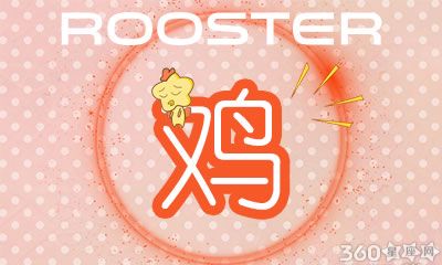 属鸡人在考试前一天会做什么