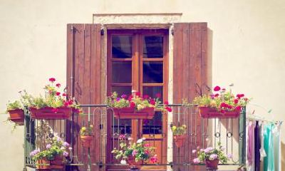 “名”对“命”有多大的影响