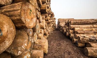 2021年1月15日出生男孩名字大全,属牛五行缺木起名