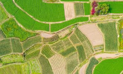 2020年10月23日霜降出生的女孩五行缺水取名大全