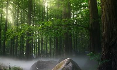 2020年11月7日立冬出生男孩五行缺火取名