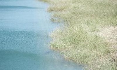 2021年1月9日出生五行缺木女孩名字大全,牛年出生女孩名字推荐