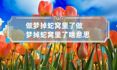 做梦掉蛇窝里了 做梦掉蛇窝里了啥意思