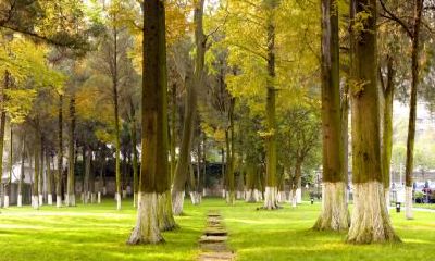 2021年2月23日出生五行缺土男孩起名用什么字?