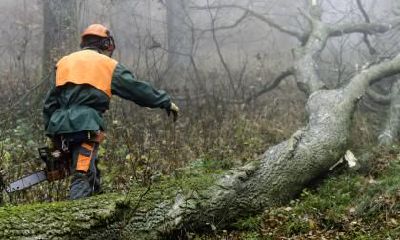 2021年2月21日出生男宝宝五行缺土名字