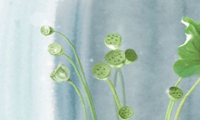 属鸡男最适合的职位是什么