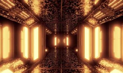 2019年腊月三十女孩五行缺木起名大全,女孩缺木起名用字?