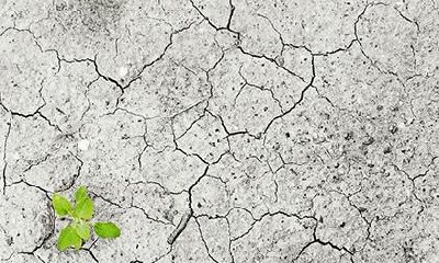 2020年12月25日圣诞节出生女孩五行缺木有诗意名字大全