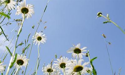 2019年1月13日出生的男宝宝起名,男孩名字五行取名