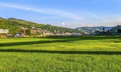 2020年农历十二月十一日出生五行喜木男孩名字