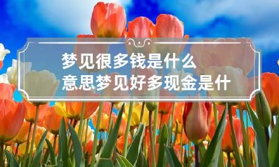 梦见很多钱是什么意思 梦见好多现金是什么征兆