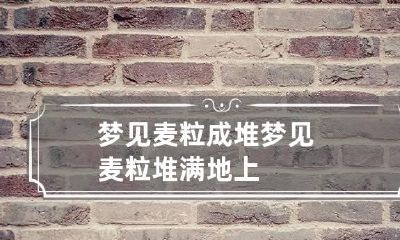 梦见麦粒成堆 梦见麦粒堆满地上