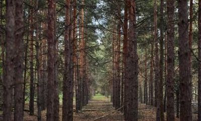 2018年11月22日出生的宝宝用五行怎么取名?运势好吗?