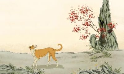 2018狗年魏姓宝宝名字取名大全