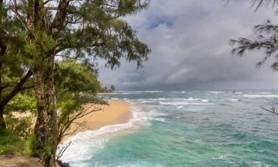 2019年大寒出生女孩五行缺水起名推荐,是吉日吗?