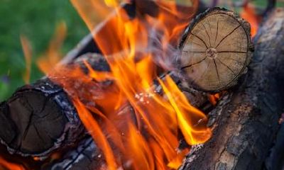 2018年11月24出生的女孩用五行怎么取名?宝宝性格如何?