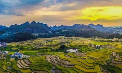 狗年国庆节出生的男孩用五行怎么取名?