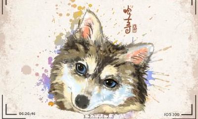 2018狗年姓陶宝宝的名字大全