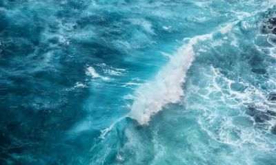 2018年五行喜水八字喜木宝宝起名大全