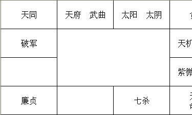 紫微斗数断例(一)