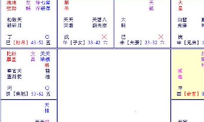紫微斗数断例(四)