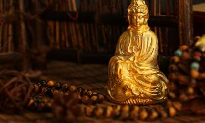 2019年5月出生猪宝宝五行属性,该怎么起名好?