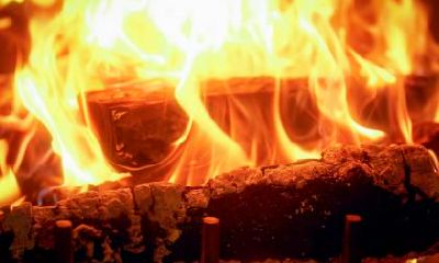 2019年5月份出生猪宝宝五行属什么,起什么名字好?