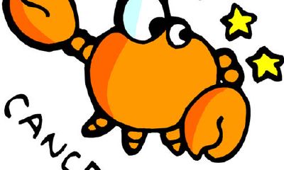 巨蟹座整理笔记