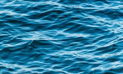 2020年七夕出生五行缺火的女孩名字大全