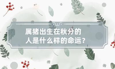 属猪出生在秋分的人是什么样的命运?