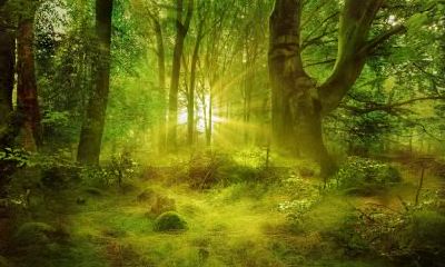 2019年小年出生五行缺金的男孩起名大全