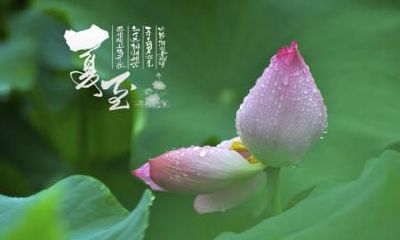 2020年立夏节气出生带“夏”的男孩名字大全!