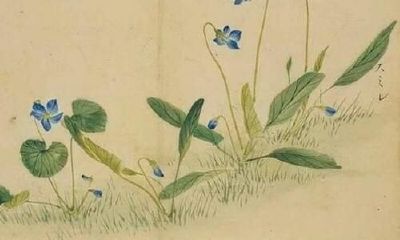 古典文化起名之《诗经》