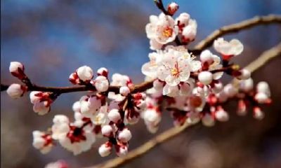 影响婚后生活风水