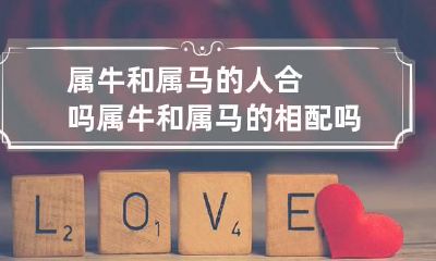属牛和属马的人合吗 属牛和属马的相配吗?
