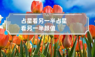 占星看另一半 占星看另一半颜值