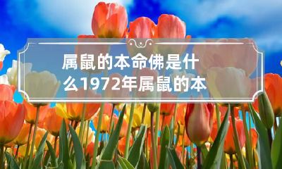 属鼠的本命佛是什么 1972年属鼠的本命佛是什么