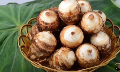 梦到自己吃山芋